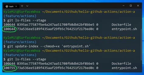 git update file permissions|How to Change File Permissions in Git .